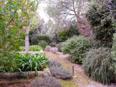 ...il tutto tra profumati sentieri di piante aromatiche, melograni, cipressi e fiori di san Luigi